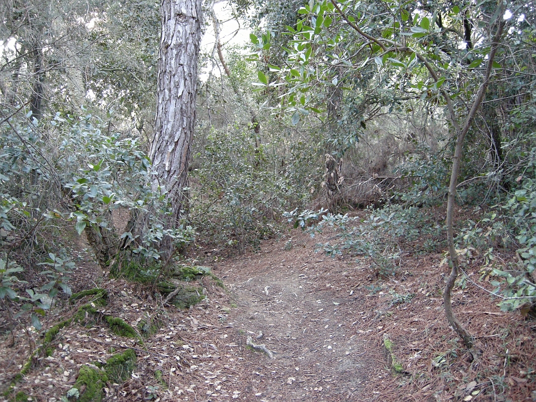 gr92-2010-11 222